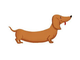 Dachshund Clube Dachshund Cartoon Dachshund Illustration Dachshund Drawing