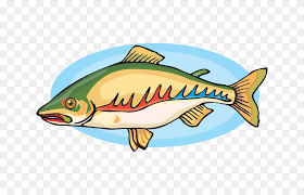Salmon Clipart Large Fish Pescado Clipart Stunning Free Transparent Png Clipart Images Free Download Salmon pescado is on facebook. salmon clipart large fish pescado