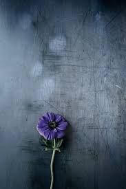Indoor wallpaper free stock photos download 1 877 free stock photos. 750 Backdrop Pictures Hd Download Free Images On Unsplash