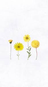 Download Premium Illustration Of Various Hand Drawn Yellow Flower Mobile Flower Illustration Yellow Flower Art Cute Flower Wallpapers