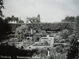 Öffnungszeiten von botanischer garten kaiserberg in schweizer str. Botanischer Garten Duisburg Duissern Kunstraumgruen Botanischer Garten Duissern