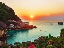Ocean Horizon Sunset Beach Vegetation Background Toppng