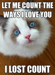 2,657 views jan 6, 2020. Messages Todorokixreader Textfic C H A P T E R T H R E E Love You Meme Love You Funny Love Memes Funny