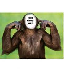 The professional dog trainer suggested to look out of the window and admire the beauty around us (or the neighbor's cat). Funny Photomontages With Your Photo Photofunny