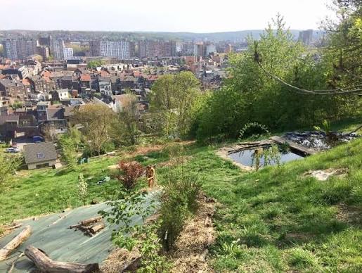 Liège en Transition