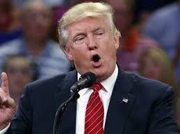 Trump sugiere a los propietarios de armas que frenen a Clinton