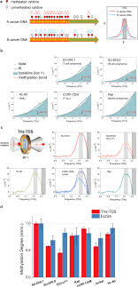 Cancer research uk early detection head dr david crosby said: Detection And Manipulation Of Methylation In Blood Cancer Dna Using Terahertz Radiation Scientific Reports