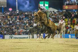 Confira vídeo: Ginete gaúcho vence principal rodeio da Argentina — OBSERVADOR REGIONAL
