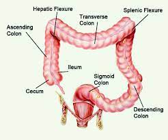 The currently valid version is effective from the beginning until the official diagnostic classification. Screen For Correct Colorectal Polyp Icd 10 Coding Aapc Knowledge Center