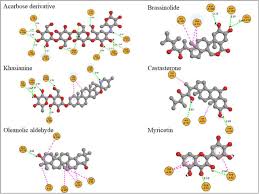Image result for Xeroderris