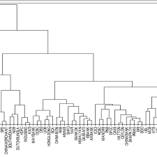 Dendrogram Of Hierarchical Clustering Download Scientific