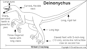 Today, you can bring back the deinonychus back into life by coloring them. Deinonychus Enchanted Learning Software