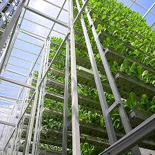We did not find results for: Vertical Farming The Future Concept Of Agriculture