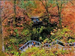 Maybe you would like to learn more about one of these? Falling Waters State Park In Chipley Florida With Beautiful Fall Foliage Summer Bucket Waterfall Summer Bucket Lists