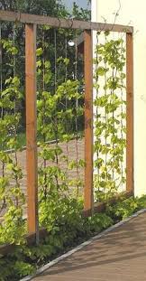 Screen Guard Garden 2019 U Formiger Rahmen In 2020 Backyard Fences Vertical Garden Garden Trellis