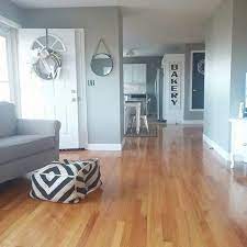 There is no one best color for your living room. Sherwin Williams Intellectual Gray Grey Walls Living Room Home Paint Colors For Living Room