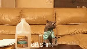 Discover & share this animated gif with everyone you know. Cryptocurrency Gifs Animations That Capture The Mood Of The Markets Featured Bitcoin News