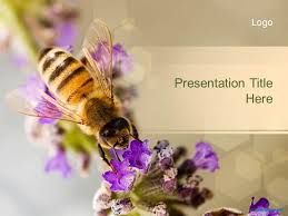 Free Bee Ppt Template Powerpoint Template Free Powerpoint Slide Designs Powerpoint