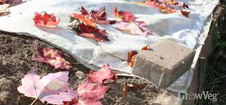 I plan to enrich the saved soil over the winter by combining it, adding organic materials such as leaves, bokashi, and what ever else makes sense. 5 Ways To Build Soil In Winter