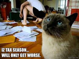 Tax Day Funny Cat Meme This Looks Like My Office Taxday Catmeme Lolcat Taxes Catsfunny Catfunny Cats Cat Memes Cats Funny Cats