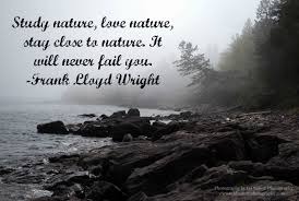 Pin On Nature Photography Quotes