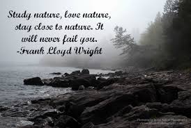 Look deep into nature, and then you will under Love Nature Photography Quotes Fashion Grunge Hipster Indie Love Nature Photography Quote Dogtrainingobedienceschool Com