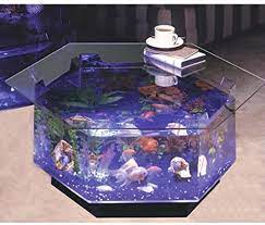 The midwest tropical fountain 25 gallon aqua coffee table aquarium container is one of the most pricey options on this top 8. Amazon Com Long Octagon Aqua Coffee Table Aquarium Coffee Table Aquarium Fish Tank Pet Supplies