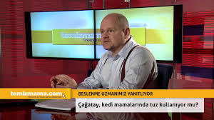 Cagatay Kedi Mamalarinda Tuz Kullaniyor Mu Temizmama Com