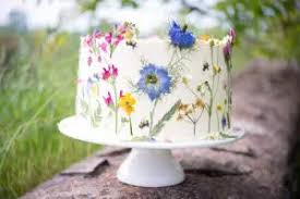 Check spelling or type a new query. Learn How To Make A Pressed Edible Flower Cake Sow N Sow
