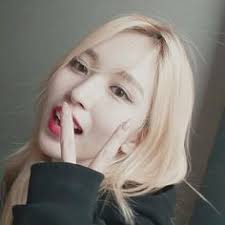 Descubre 52 ideas de Mina y tipos de sangre en 2025