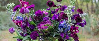 Danisa's wholesale fresh flowers, inc. Dvflora Linkedin