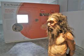 Gli uomini di neanderthal sapevano anche costruire armi e altri oggetti utili. L Uomo Di Altamura