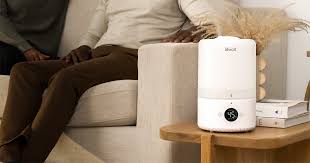 Smart Humidifier