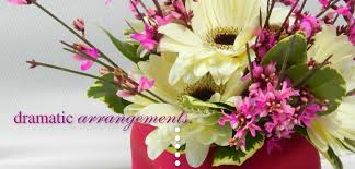 Hey everyone gonna be visiting from ma to pa in the last week of june. Blooms By Vickrey Flowers In Camp Hill Pa