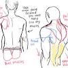 The muscles of your back are complex and work together to provide support, movement, and stability. 1