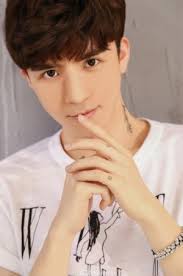 David Wu (吴大伟)