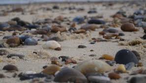 With a glorious sandy beach just a short stroll away and scarborough and filey a few minutes by car, seaside holidays don't get better than this. Ty Mawr Holiday Park Findparks