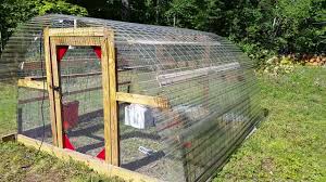 I had a little more free time than usual lately with all this craziness going on so i decided to build a quail pen. Quail Dome 2 0 Youtube