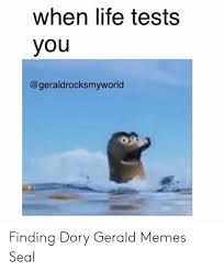 Fastest and easy online meme generator, create meme, 100000+ templates, you can upload your own foto / picture. 25 Best Memes About Dory Gerald Dory Gerald Memes