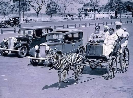 Bombay Photo Images[ Mumbai]