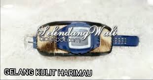 Check spelling or type a new query. Selendang Wali Gelang Kulit Harimau