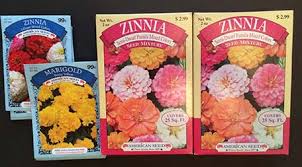 Press the flower seed into the soil and lightly cover with sand. Bargain Gardening 12 Ways To Save Money On Flower Gardens And Gardening Supplies Thoughts Tips And Tales