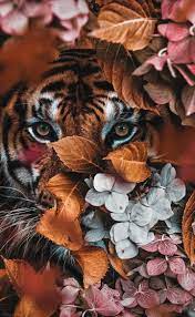 48213415 Posters En Wanddecoratie Voor Jouw Interieur Posterjunkie In 2020 Dieren Mooi Botanisch Animal Wallpaper Most Beautiful Animals Animals Beautiful
