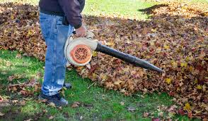Black And Decker Electric Leaf Blower Lb700 Best Cordless Leaf Blowers For 2019 Leaf Blower Blowers Greenworks