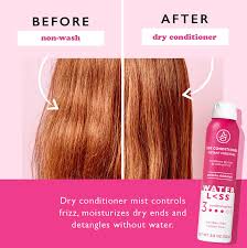 I use this oily/creamy formula whenever i want to let my hair soak for a full day or so. Waterless Dry Conditioner Instant Moisture