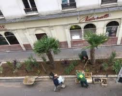 My French Life Ma Vie Francaise