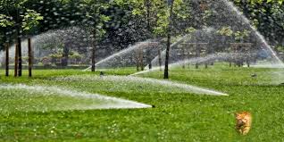 How to water lawn in hot weather. When Is The Best Time To Water Grass In Hot Weather