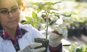 BETTER LEADERSHIP BETTER WORLD