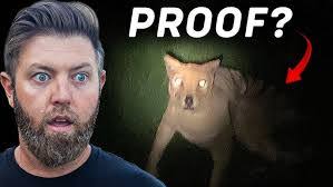 Steven Mohammed's Instagram, Twitter & Facebook