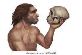 Neanderthal Images, Stock Photos & Vectors | Shutterstock